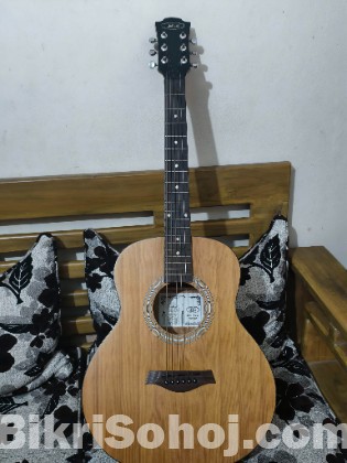 giuliani gag-36ss acoustic travel guitar